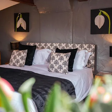 別荘 Gill Cottage, Castle Carrock, Characterful For Romantic Break With Hot Tub And 2 Dogs Welcome *